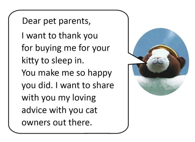 cat angel cat bed - cat owner testimonial 001